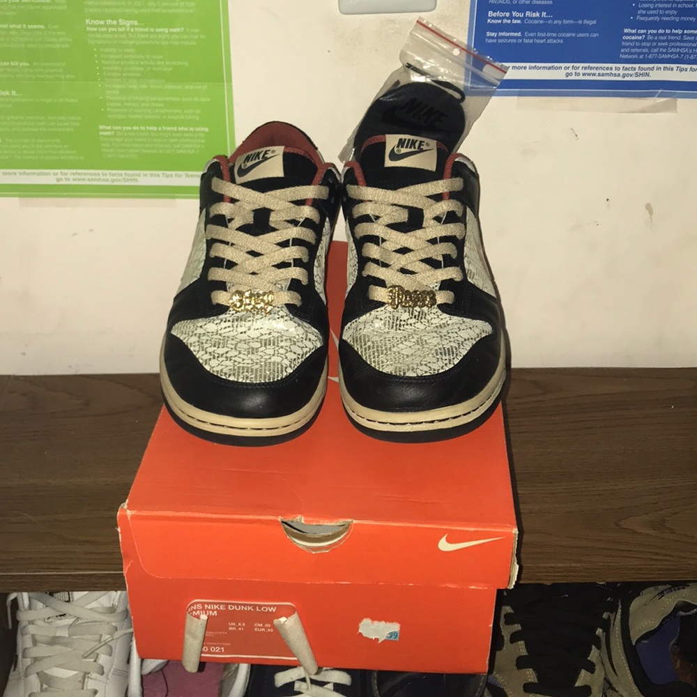 Nike dunk women’s premium “obey posse”